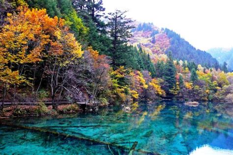 La Montagna dei Cinque Fiori: Una Scalata tra Legende e Panorami Incantevoli!