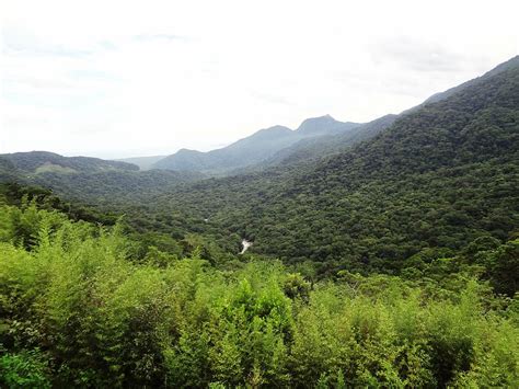  La Serra do Mar: Una meraviglia verdeggiante per gli amanti della natura e dell'avventura!